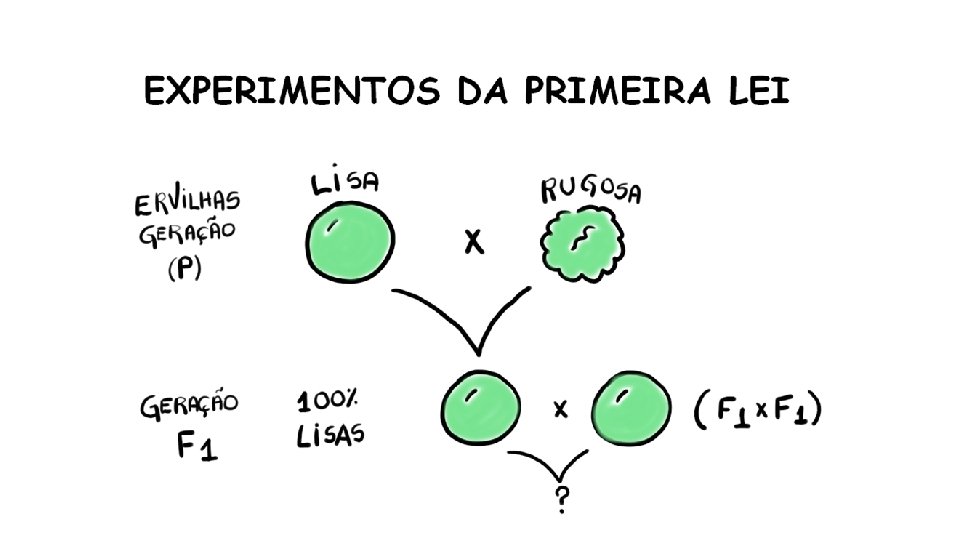 Introduo Gentica O que vamos ver nessa aula (2022)