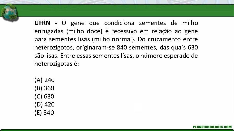 UFRN - O gene que condiciona sementes de milho enrugadas (milho doce) é recessivo