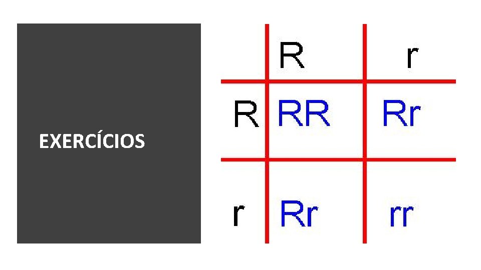 EXERCÍCIOS 