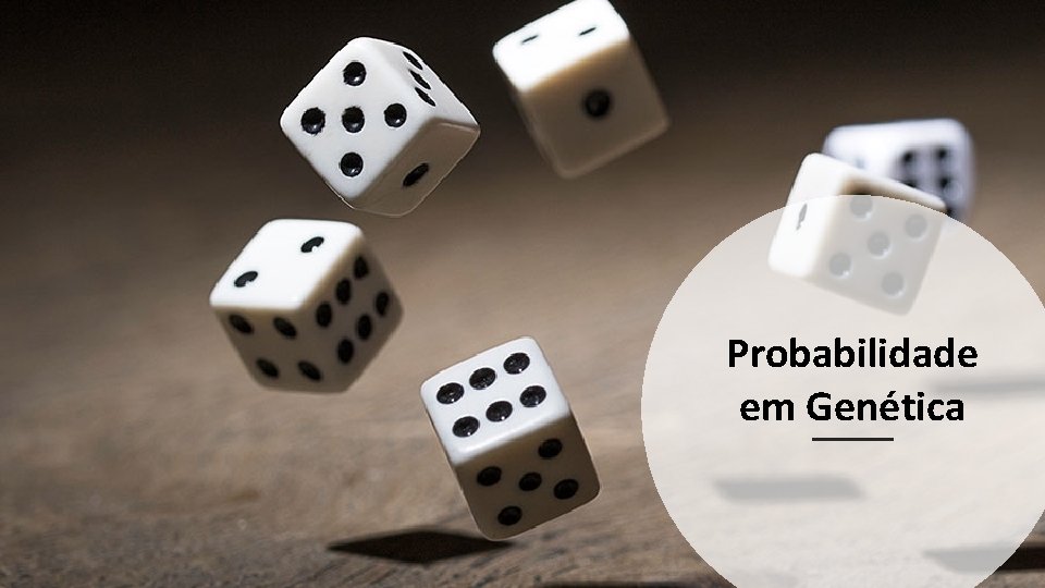 Probabilidade em Genética Probabilidade em Genética