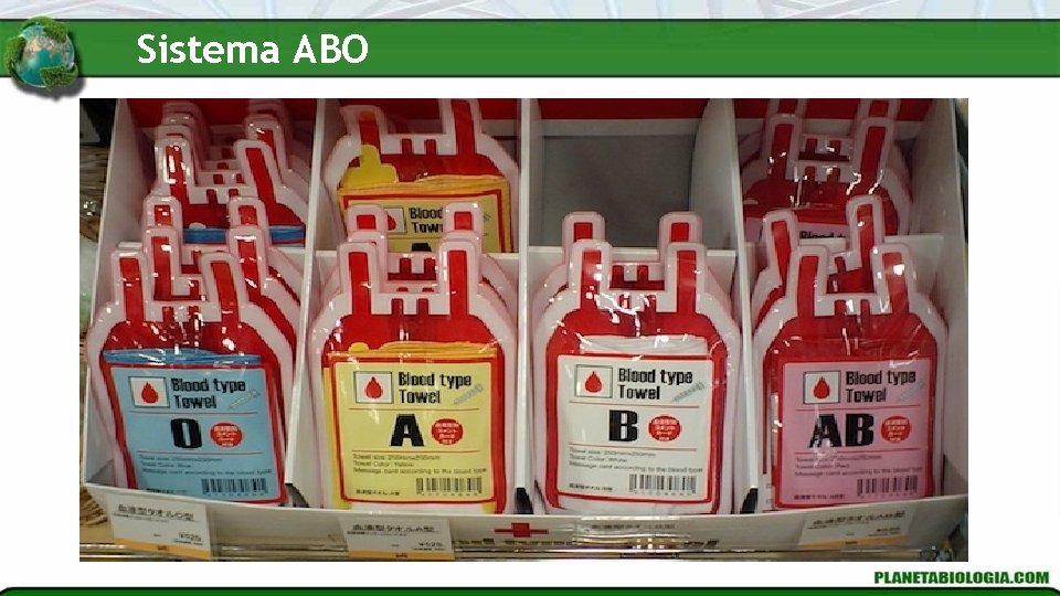Sistema ABO Sistema ABO