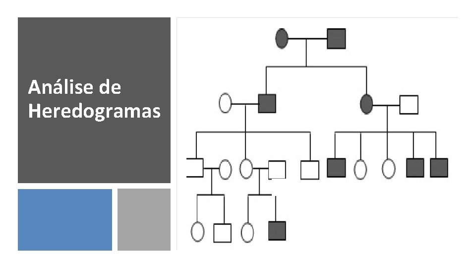 Análise de Heredogramas 