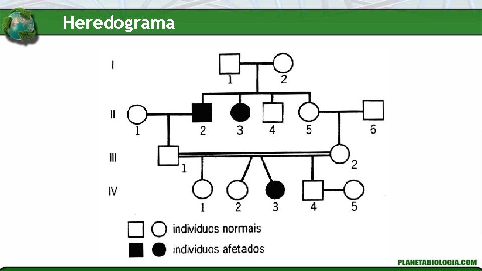 Heredograma 