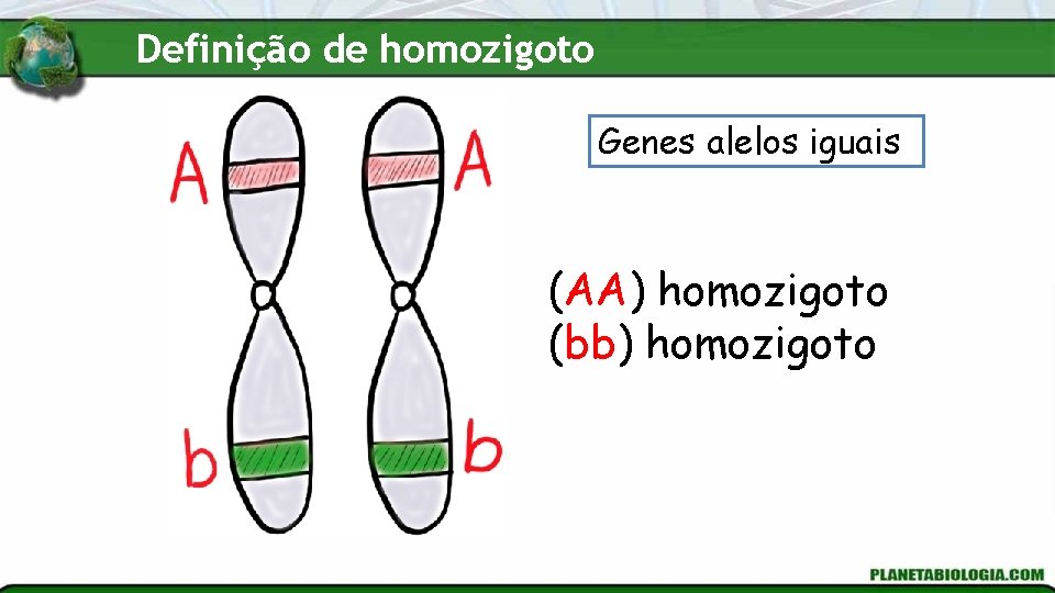 Introduo Gentica O que vamos ver nessa aula