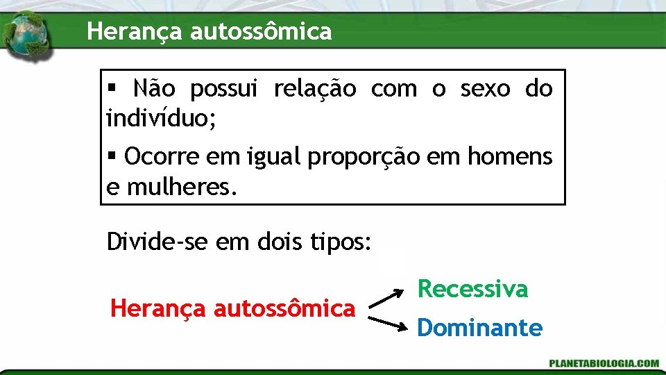 Herança autossômica § Não possui relação com o sexo do indivíduo; § Ocorre em Herança autossômica § Não possui relação com o sexo do indivíduo; § Ocorre em