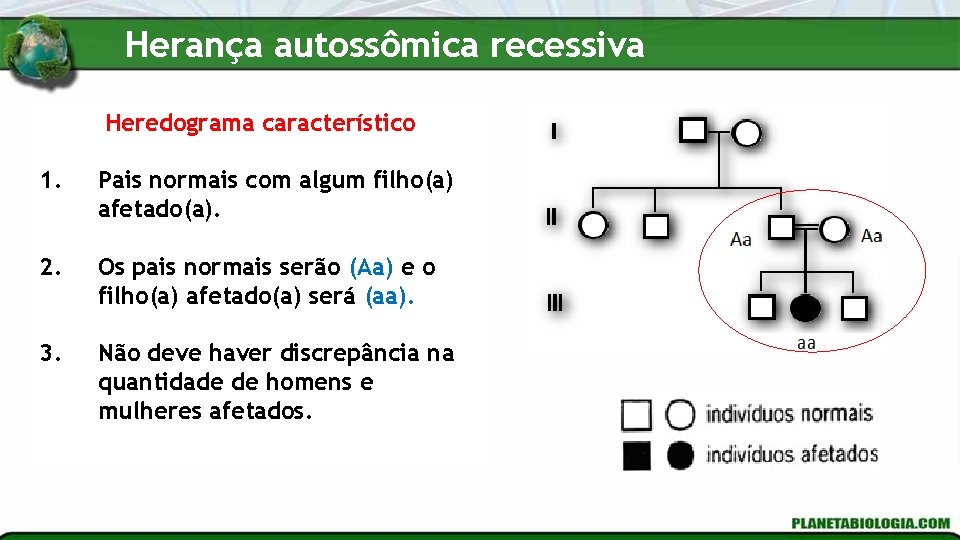 Herança autossômica recessiva Heredograma característico 1. Pais normais com algum filho(a) afetado(a). 2. Os