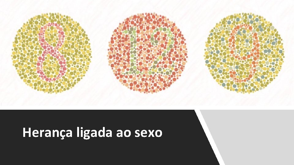 Herança ligada ao sexo 