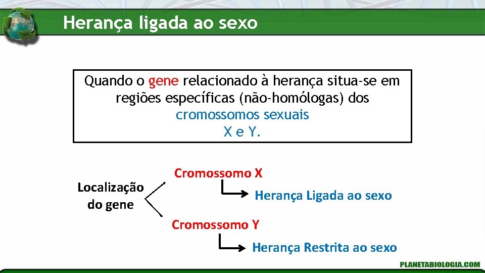 Herança ligada ao sexo Quando o gene relacionado à herança situa-se em regiões específicas Herança ligada ao sexo Quando o gene relacionado à herança situa-se em regiões específicas