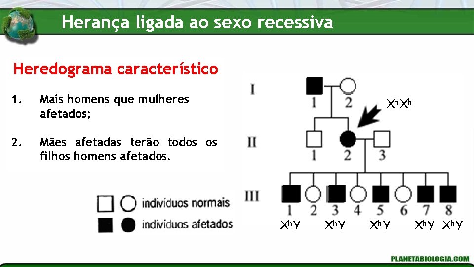 Herança ligada ao sexo recessiva Heredograma característico 1. Mais homens que mulheres afetados; 2.