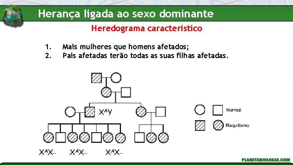 Herança ligada ao sexo dominante Heredograma característico 1. 2. Mais mulheres que homens afetados;