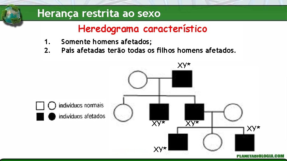 Herança restrita ao sexo Heredograma característico 1. 2. Somente homens afetados; Pais afetadas terão Herança restrita ao sexo Heredograma característico 1. 2. Somente homens afetados; Pais afetadas terão