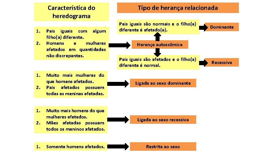 Característica do heredograma 1. 2. 1. Pais iguais com algum filho(a) diferente. Homens e