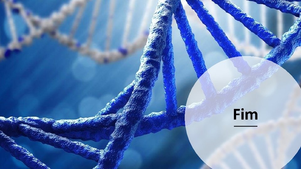 Fim Fim