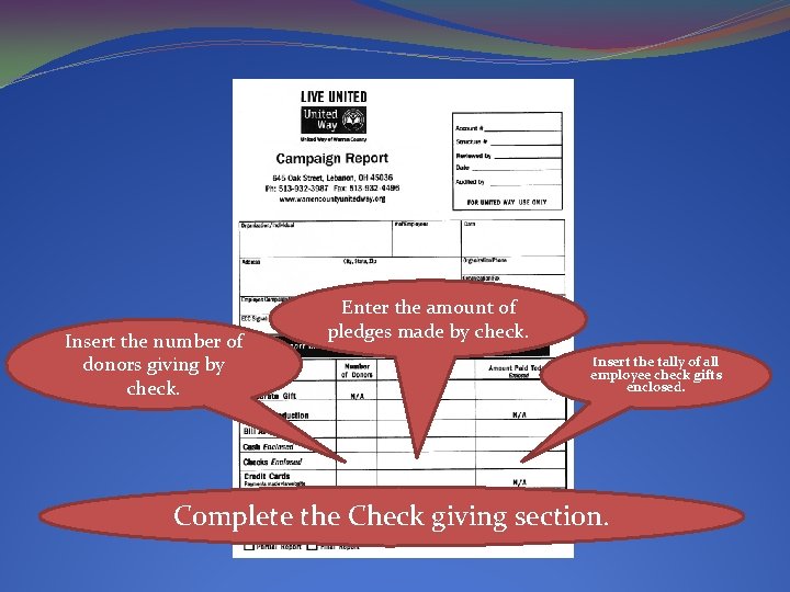 Insert the number of donors giving by check. Enter the amount of pledges made