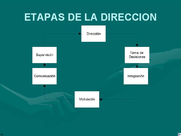 ETAPAS DE LA DIRECCION 