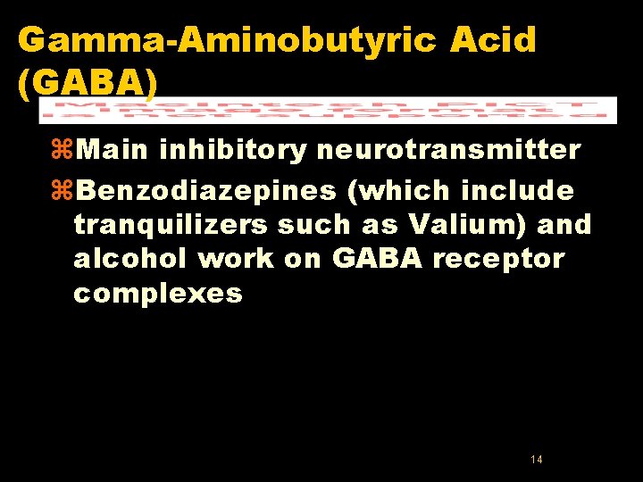 Gamma-Aminobutyric Acid (GABA) z. Main inhibitory neurotransmitter z. Benzodiazepines (which include tranquilizers such as