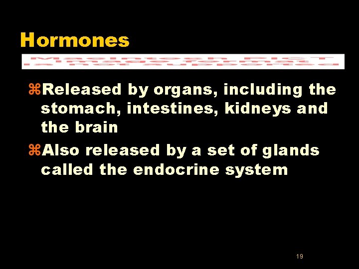 Hormones z. Released by organs, including the stomach, intestines, kidneys and the brain z.