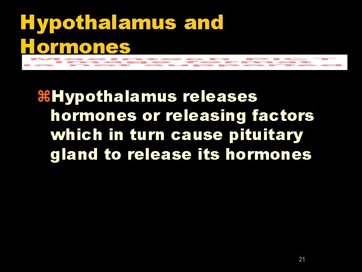 Hypothalamus and Hormones z. Hypothalamus releases hormones or releasing factors which in turn cause Hypothalamus and Hormones z. Hypothalamus releases hormones or releasing factors which in turn cause