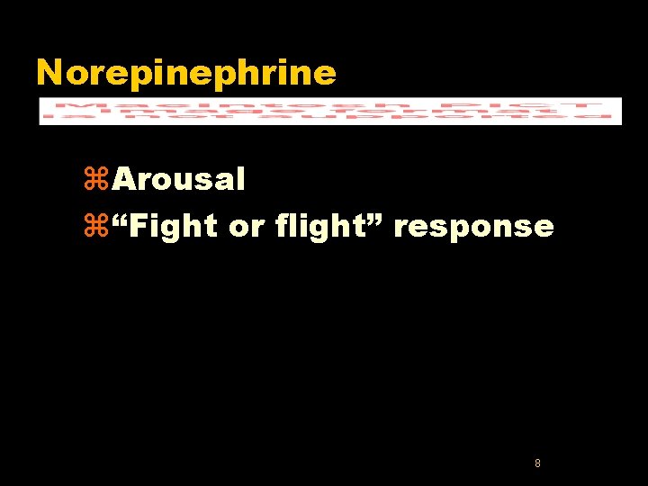 Norepinephrine z. Arousal z“Fight or flight” response 8 Norepinephrine z. Arousal z“Fight or flight” response 8
