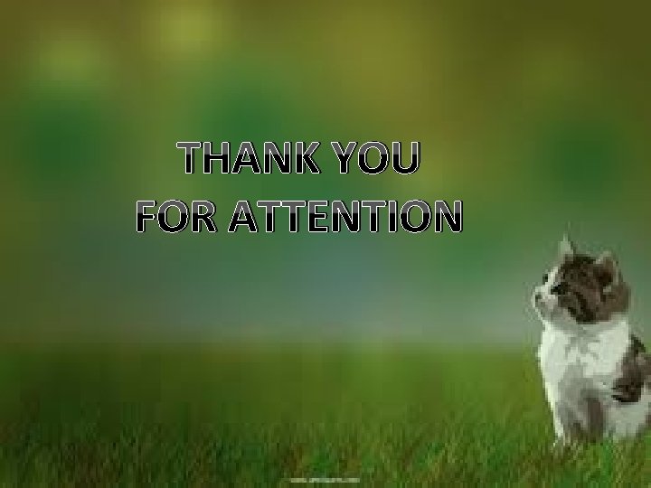 THANK YOU FOR ATTENTION 