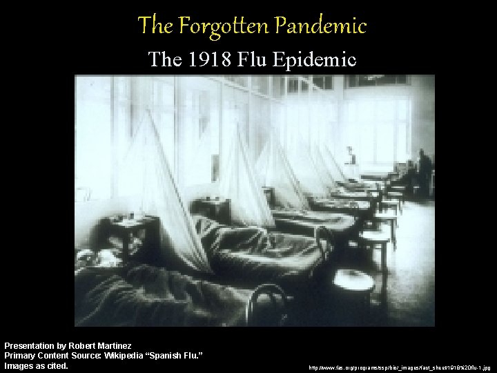 The Forgotten Pandemic The 1918 Flu Epidemic Presentation by Robert Martinez Primary Content Source: