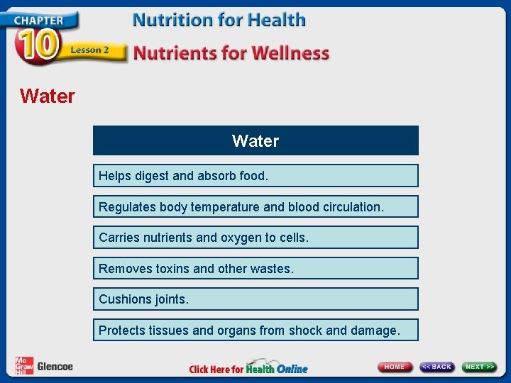 Water Helps digest and absorb food. Regulates body temperature and blood circulation. Carries nutrients