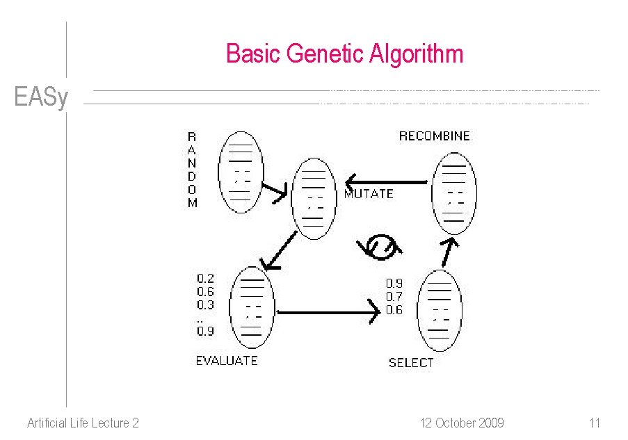 Basic Genetic Algorithm EASy Artificial Life Lecture 2 12 October 2009 11 