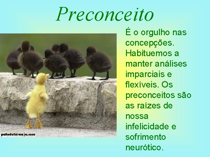 Preconceito É o orgulho nas concepções. Habituemos a manter análises imparciais e flexíveis. Os