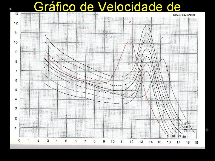 Gráfico de Velocidade de Crescimento 