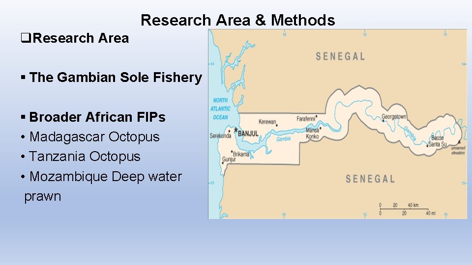 Research Area & Methods q. Research Area § The Gambian Sole Fishery § Broader