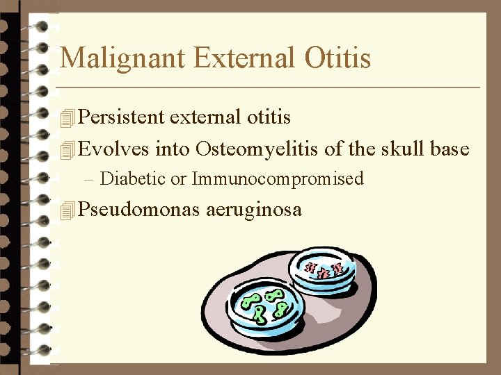 Malignant External Otitis 4 Persistent external otitis 4 Evolves into Osteomyelitis of the skull