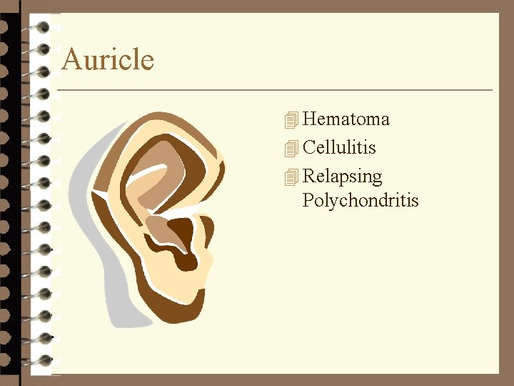 Auricle 4 Hematoma 4 Cellulitis 4 Relapsing Polychondritis 