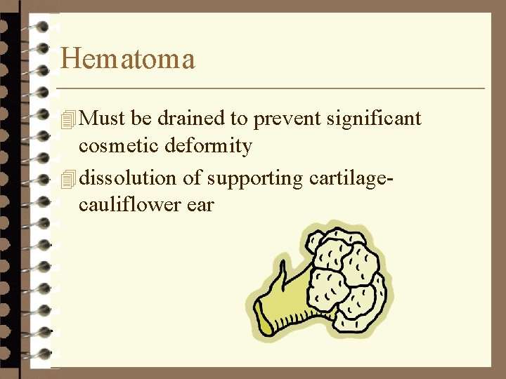 Hematoma 4 Must be drained to prevent significant cosmetic deformity 4 dissolution of supporting