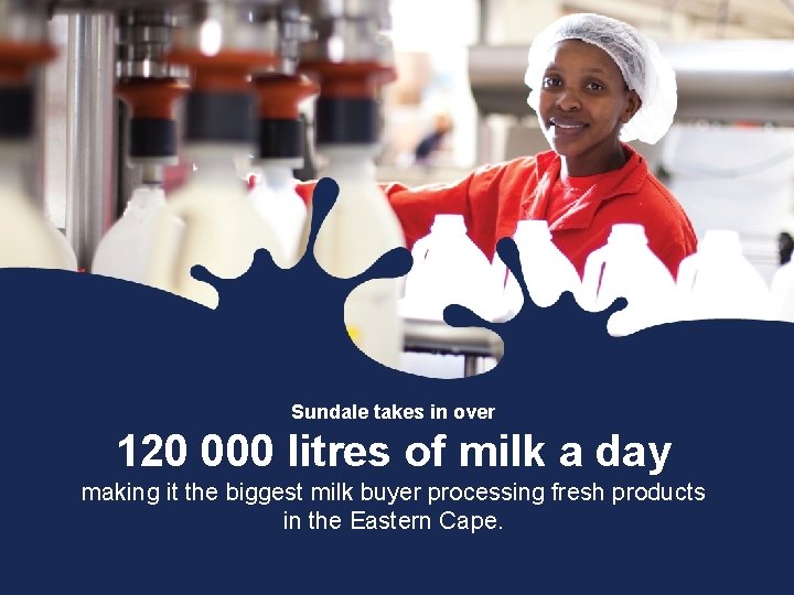 Sundale takes in over 120 000 litres of milk a day making it the Sundale takes in over 120 000 litres of milk a day making it the