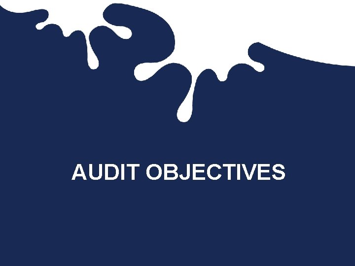 AUDIT OBJECTIVES AUDIT OBJECTIVES