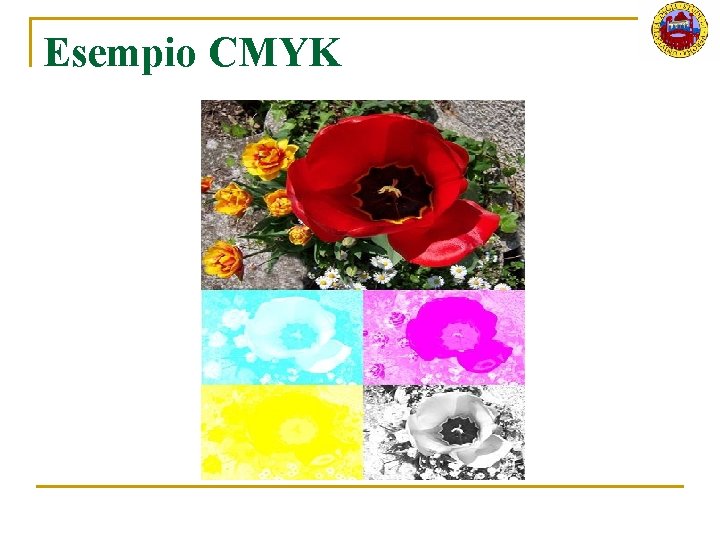 Esempio CMYK 