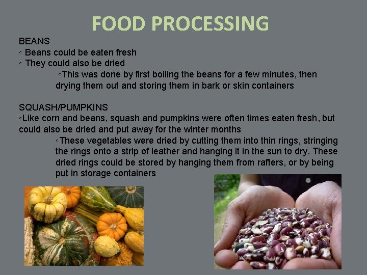 FOOD PROCESSING BEANS ◦ Beans could be eaten fresh ◦ They could also be