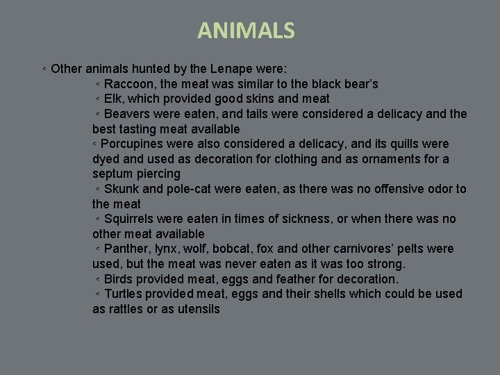 ANIMALS ◦ Other animals hunted by the Lenape were: ◦ Raccoon, the meat was