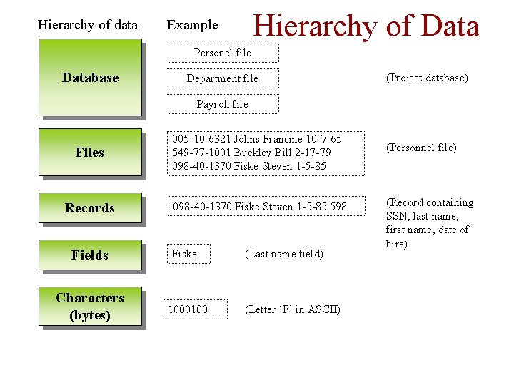 Hierarchy of data Hierarchy of Data Example Personel file Database Department file (Project database) Hierarchy of data Hierarchy of Data Example Personel file Database Department file (Project database)