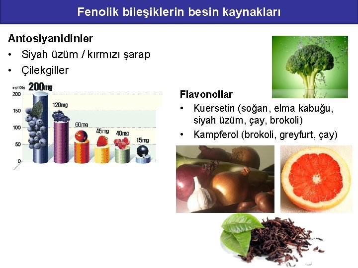 Fenolik bileşiklerin besin kaynakları Antosiyanidinler • Siyah üzüm / kırmızı şarap • Çilekgiller Flavonollar