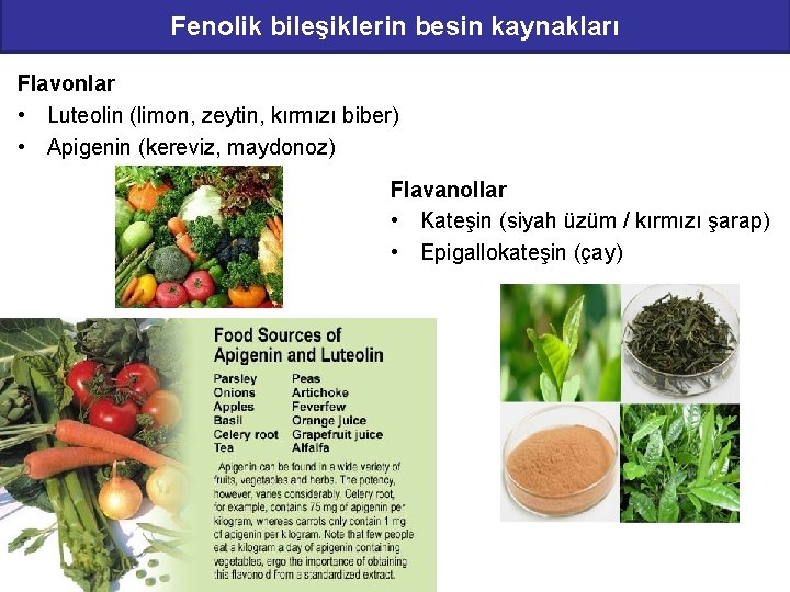 Fenolik bileşiklerin besin kaynakları Flavonlar • Luteolin (limon, zeytin, kırmızı biber) • Apigenin (kereviz,