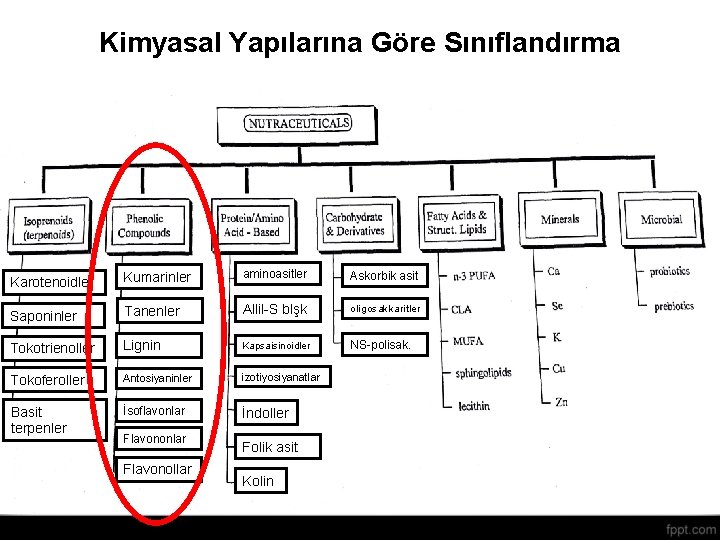 Kimyasal Yapılarına Göre Sınıflandırma Karotenoidler Kumarinler aminoasitler Askorbik asit Saponinler Tanenler Allil-S blşk oligosakkaritler