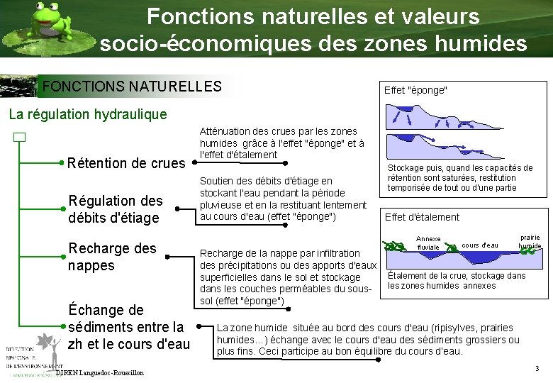 Fonctions naturelles et valeurs socio-économiques des zones humides FONCTIONS NATURELLES Effet "éponge" La régulation