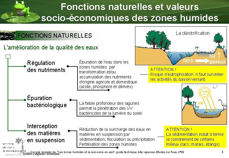 Fonctions naturelles et valeurs socio-économiques des zones humides La dénitrification FONCTIONS NATURELLES L'amélioration de