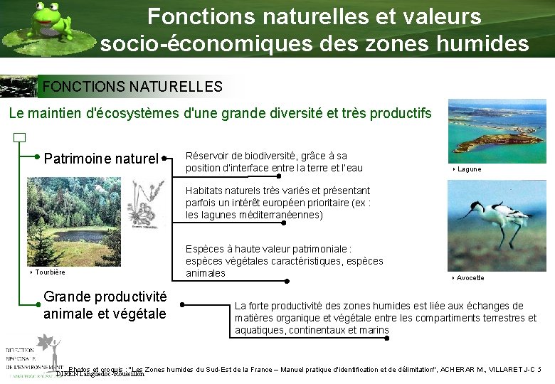 Fonctions naturelles et valeurs socio-économiques des zones humides FONCTIONS NATURELLES Le maintien d'écosystèmes d'une