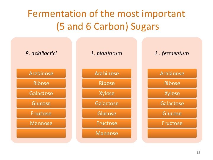 Fermentation of the most important (5 and 6 Carbon) Sugars P. acidilactici L. plantarum