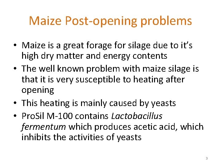 Maize Post-opening problems • Maize is a great forage for silage due to it’s