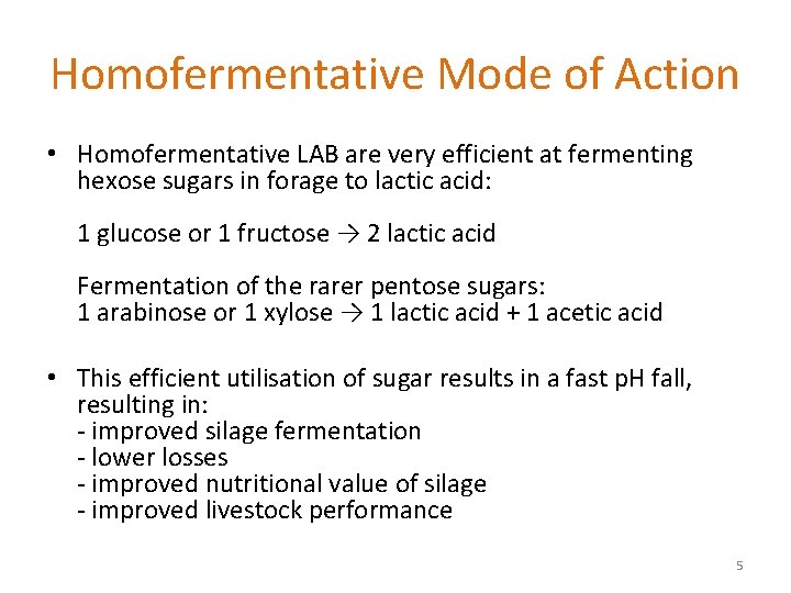 Homofermentative Mode of Action • Homofermentative LAB are very efficient at fermenting hexose sugars