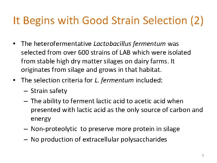 It Begins with Good Strain Selection (2) • The heterofermentative Lactobacillus fermentum was selected