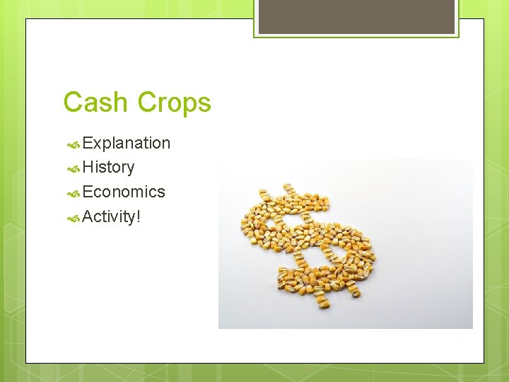 Cash Crops Explanation History Economics Activity! 